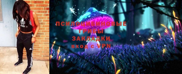 соль ск Аркадак